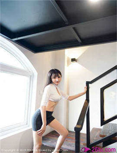 决战燕子门电视剧全集